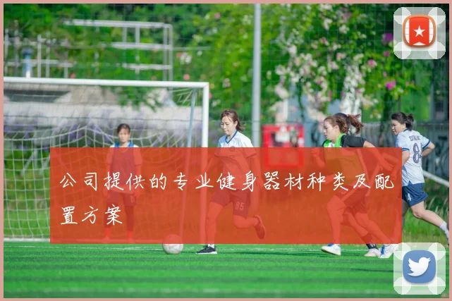 公司提供的专业健身器材种类及配置方案